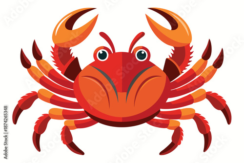 Side View of a Red Sea Crab, Vector Illustration for Marine Biology and Seafood Menu Design, Isolated on White