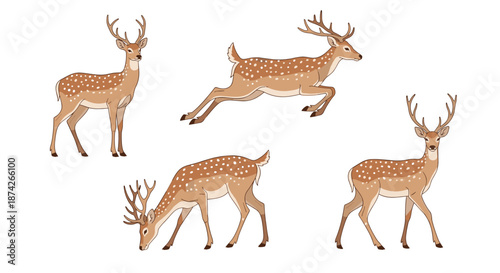 Collection of four brown spotted deer in various poses including standing grazing and leaping in a nature illustration set.