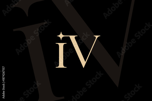 IV or VI letter logo icon design. Classic style luxury initials monogram.