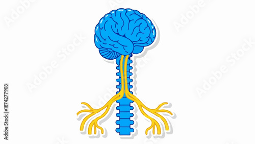 Stylized illustration of a blue brain and nervous system with yellow nerves
