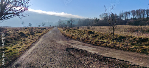 Schilderij op canvas Winding country road passing through open meadow and forest edge under bright winter sunlight