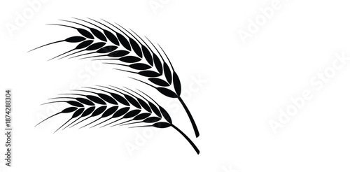  wheat ear. Cereal icon set, wheat ears icon vector, wheat, barley, oatmeal, flour, grain icon vector set. Harvest wheat grain, growth rice stalk and whole bread grains.