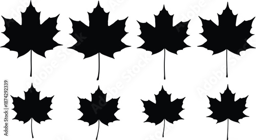 Maple leaf silhouette vector set, autumn foliage shapes collection, natural botanical illustration isolated on white background