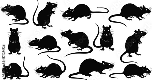 Rat mouse silhouette vector set, rodent animal poses, pest wildlife illustration isolated on white background