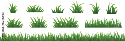 set of green grass