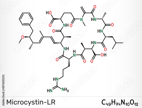 Microcystin-LR, toxic cyanotoxin molecule. Skeletal chemical formula. Vector illustration