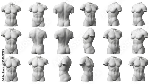 Collection of detailed human torso mannequins in various poses and perspectives