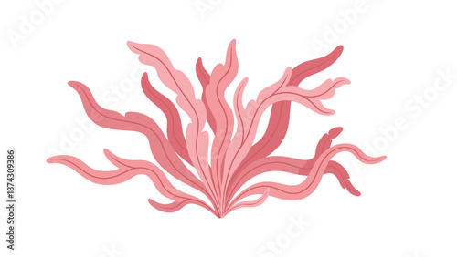 Vibrant pink seaweed or coral formation with flowing organic shapes suitable for underwater ocean themes and marine life illustrations.