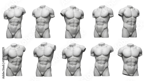 Detailed muscular male torso anatomy models for artistic reference