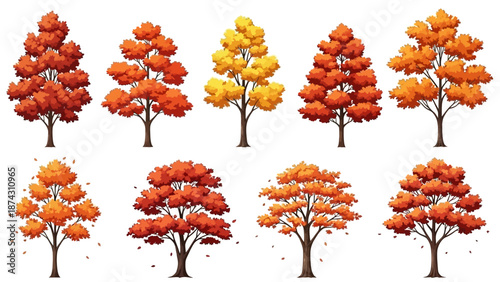 Vibrant autumn trees in various stages of fall foliage