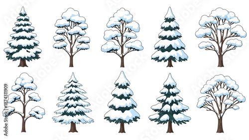 A collection of snow-covered trees in a winter landscape