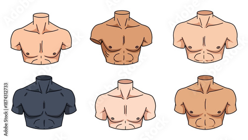 A diverse group of cartoon male torsos with different skin tones
