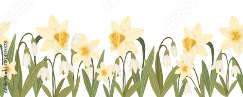 Yellow narcissus and white snowdrop flowers with green leaves, hand drawn botanical floral vector seamless border on white background.