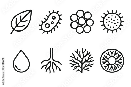Micro Nature Icons. Micro Nature set in outline vector style: tiny leaf vein, microorganism shape, spore cluster, pollen grain, droplet lens, root hair, branching micro pattern, cell ring