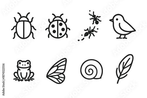 Miniature Fauna Icons. Miniature Fauna set in outline vector style: beetle, ladybug, ant trail, small bird, tiny frog, moth wing, snail shell, delicate feather