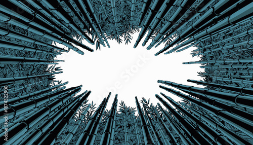 Looking up through a dense forest of tall bamboo stalks towards a bright white sky.