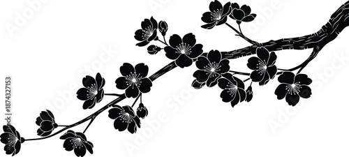 Cherry blossom branch silhouette with blooming flowers, elegant sakura floral illustration isolated on white background for spring design, nature decor, tattoo, and oriental art concepts