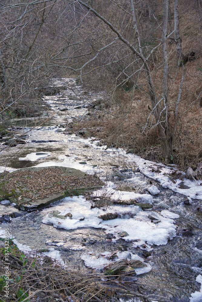Fototapeta premium Winter forest stream landscape atmosphere of a cold frosty morning nature flora landscape shore covered with ice snow fallen leaves