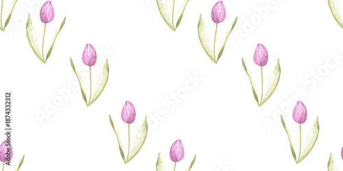 Εκτύπωση καμβά seamless pattern of tender pink tulips on white background, hand drawn watercolo