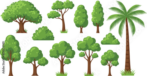 Cartoon Tree and Bush Collection with Palm Tree Green Forest Plants Flat Vector Illustration Set