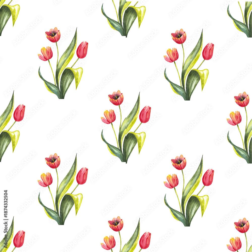 Obraz premium seamless pattern of red tulips with leaves on white background, hand drawn watercolor