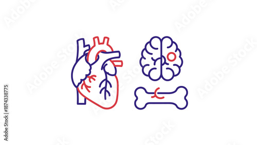 Abstract Medical Icons: Heart, Brain, Bone - Health Concept Icons