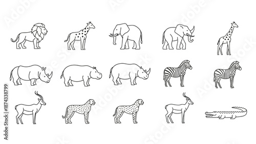 African Safari Animals Collection - Line Art Icons