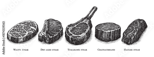 An artistic illustration showcases five distinct cuts of raw beef steaks, presented in a line with descriptive labels, ideal for culinary or butcher shop themes.
