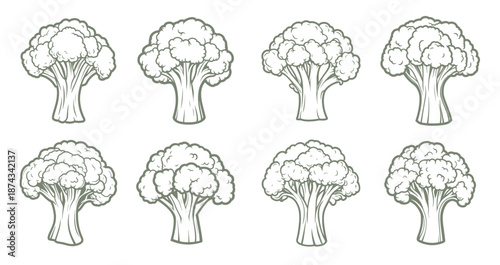set of broccoli icons on a white background 