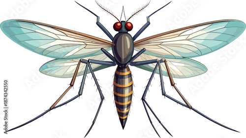 Highly Detailed Mosquito with Transparent Wings Long Legs and Striped Abdomen Insect Illustration