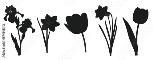 dark outlines of spring blooms like tulips daffodils