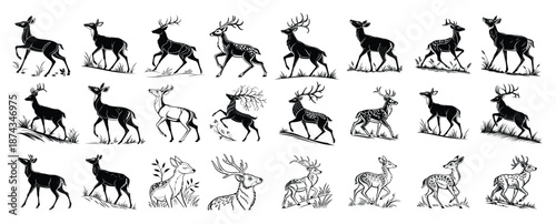 Elegant Deer Silhouette & Wildlife Illustrations – Majestic Stags & Fawns
