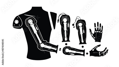 Robotic prosthetic limbs and torso on white background