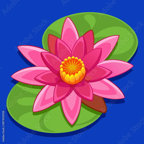 lotus flower vector illustration
