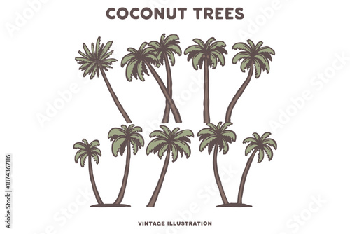 coconut tree vintage illustration bundle