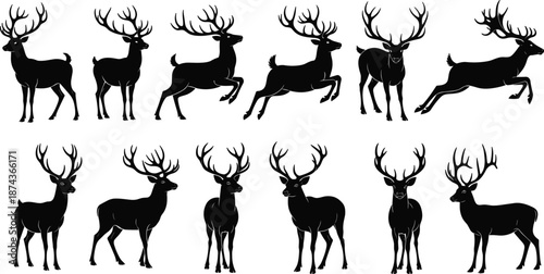 Deer, silhouettes, collection, stag, wildlife, forest, animals, running, poses, black, vector, illustration, isolated, nature, hunting, design, set, stock, bundle, art
