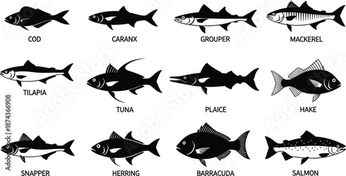 Fish silhouettes collection, marine species set, seafood illustration, black vector icons, ocean animals, fishing design, aquatic wildlife, isolated stock bundle