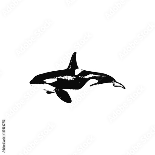 Black and white vintage illustration of martial arts fighting retro vintage vector art