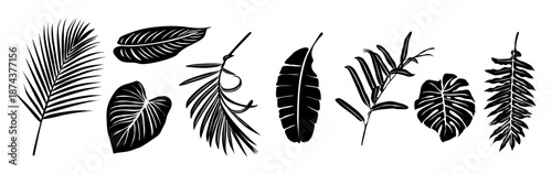 Black and white vector illustration of tropical leaves including palm, monstera, and banana in a horizontal minimalist layout with clean, bold silhouettes.