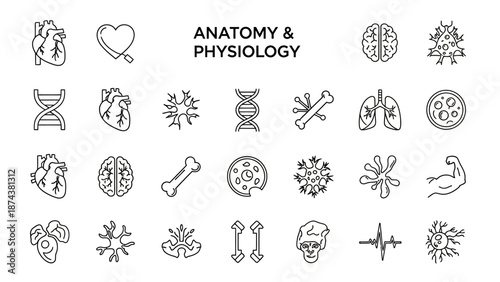 Anatomy and Physiology Icon Set: Heart, Brain, Lungs, DNA, Cells, Bones