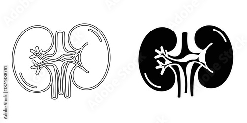 Human kidney anatomy icon with line art and solid silhouette styles, isolated vector illustration of renal system and urinary health.