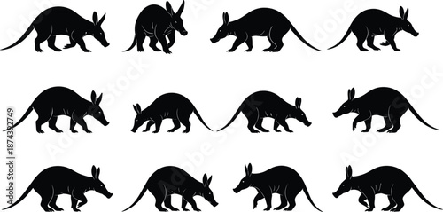 Black aardvark silhouette set showing walking sniffing and standing poses isolated on white background vector