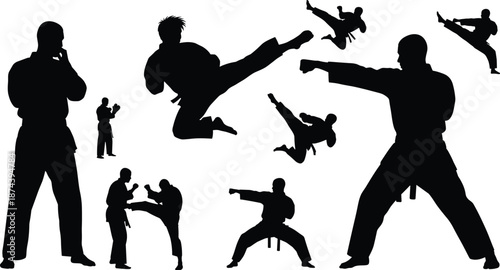 Karate fighter silhouettes, martial arts combat actions with kicks and punches, dynamic training poses, black action figures, isolated on white backgroundKarate 