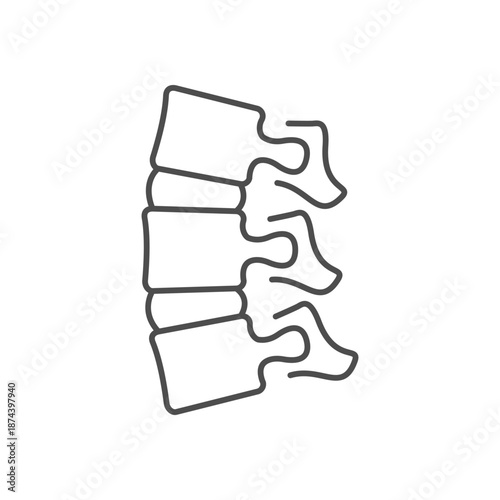 Human spine line outline icon