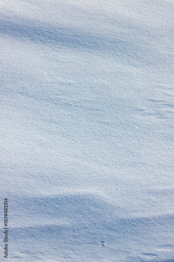Obraz premium Winter landscape. Animal tracks in the snow. Cozy winter landscape. Minimalism in nature. Cold weather. Frosty day. Paw prints in the snow. Snow cover. Winter garden. White background. 