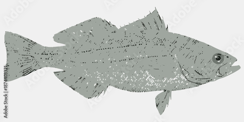 Detailed illustration of a gray fish with visible scales and fins