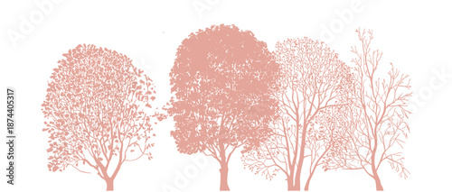 Architectural Drawings, Minimal style cad tree autumn line drawing, Side view, set of section wetland forest outline for landscape design drawing. Vector illustration in separate element