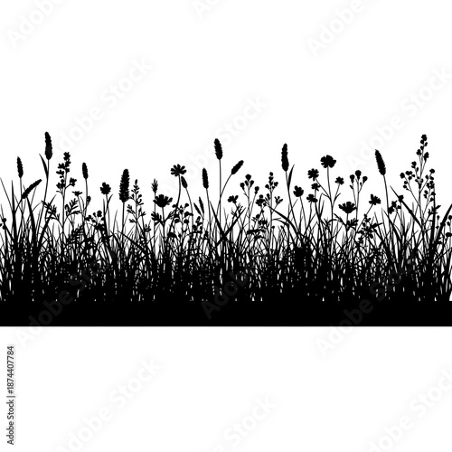 Elegant wildflower meadow silhouette with tall grasses and flowers on white background for design and decoration with nature and floral and decorative