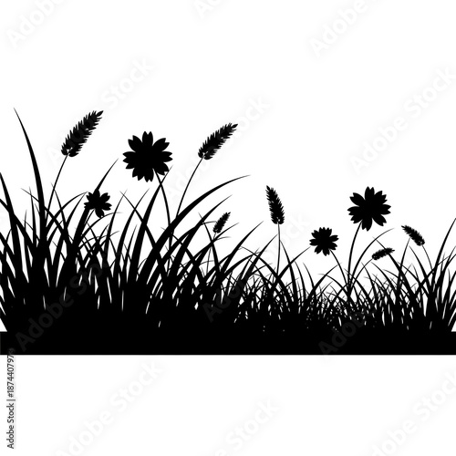 Stylized black silhouette of wildflowers and grass against a white background for design and decoration purposes with natural elements with nature