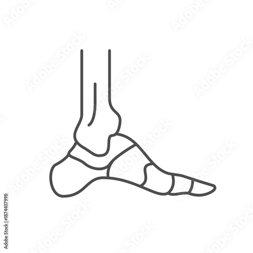 Foot bones line outline icon